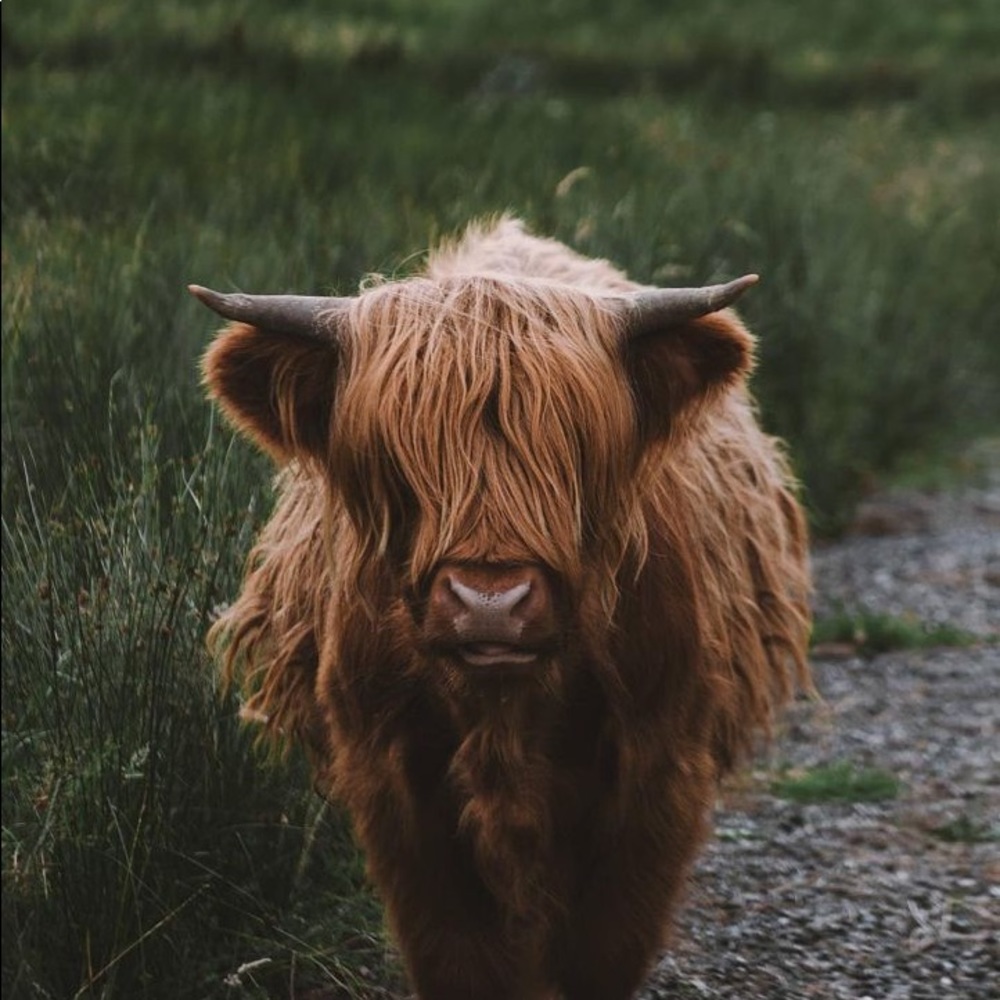 Meet your Posher, Addie